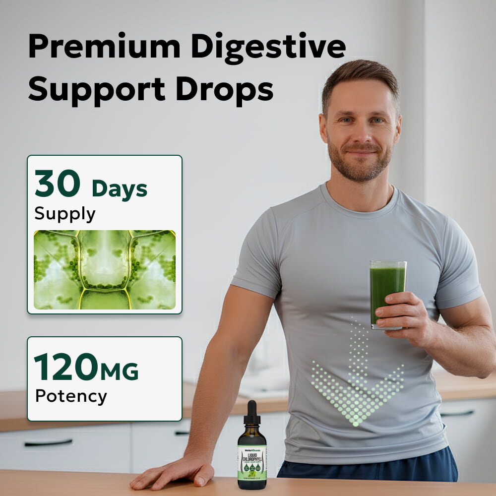 BRYO image