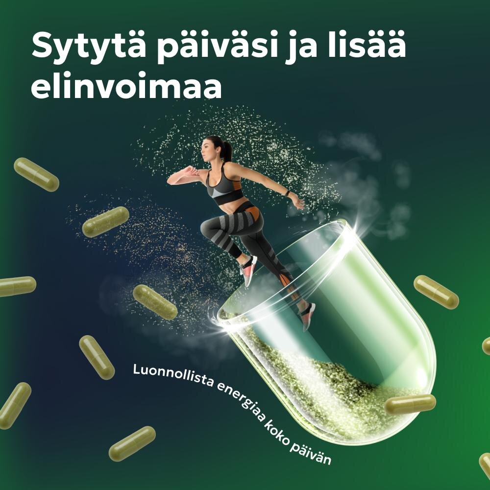 BRYO image