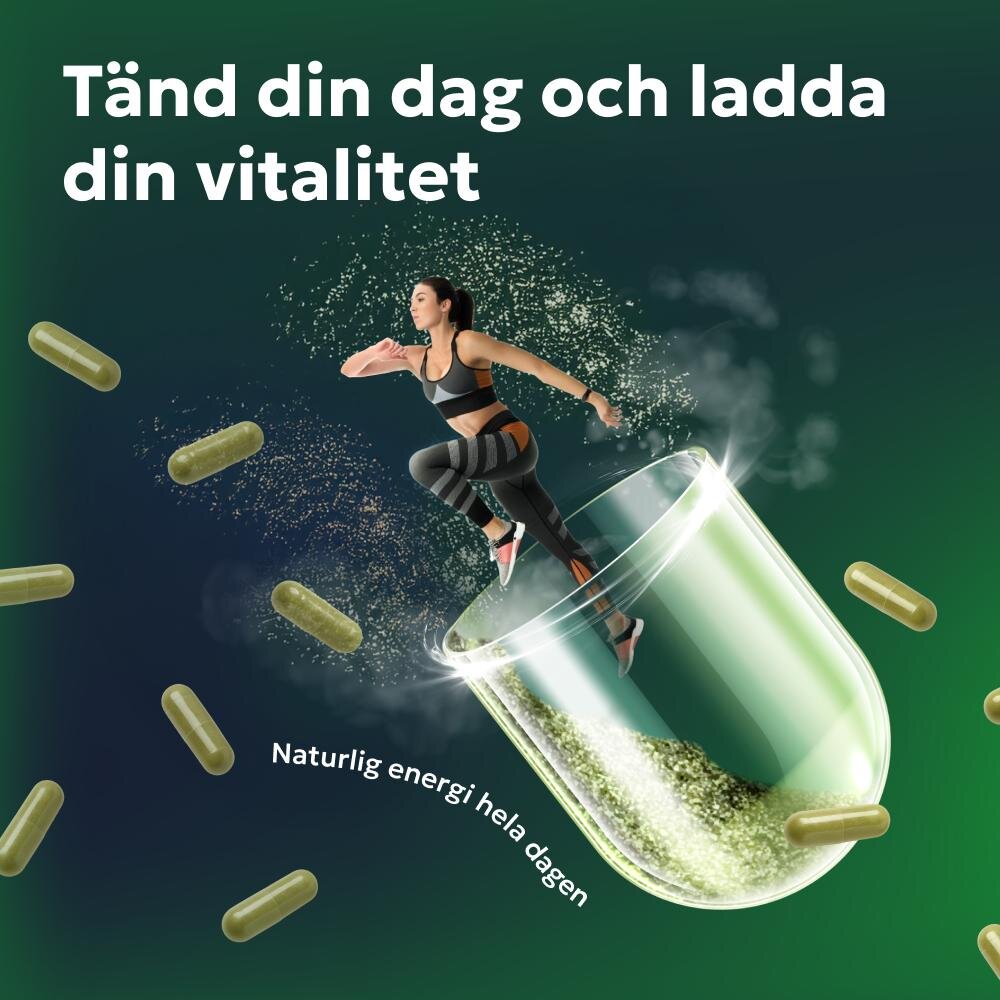 BRYO image