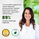 BRYO image