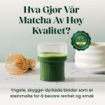 BRYO image