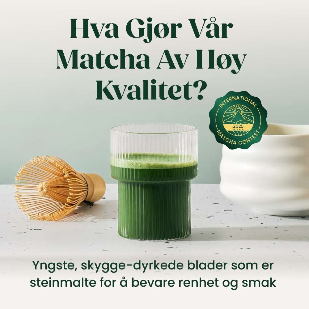 BRYO image