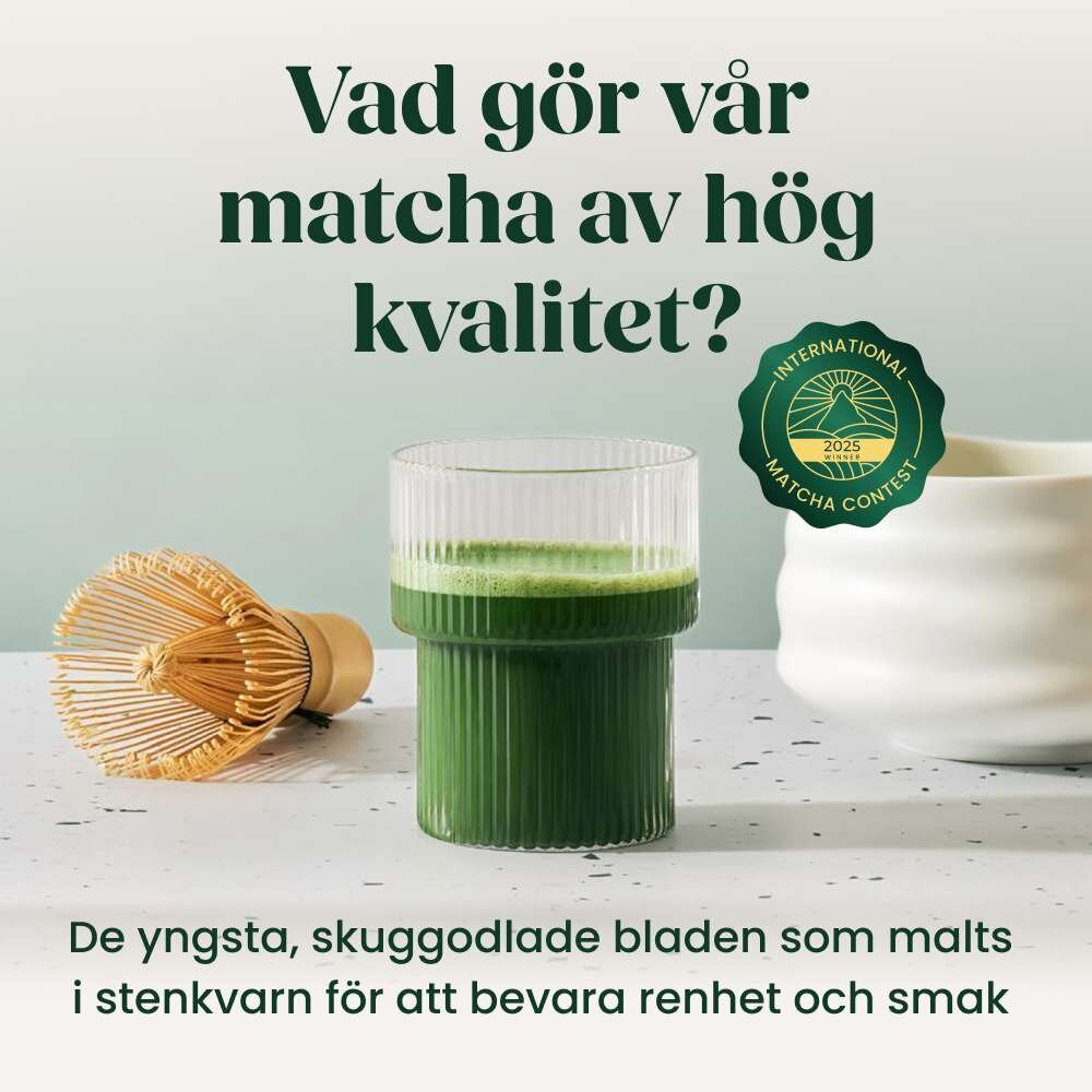 BRYO image